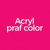 Praf acrilic color unghii (66)